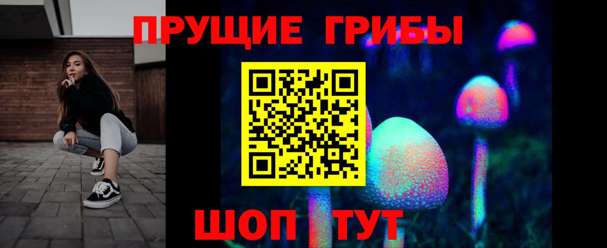 сколько стоит  Вход с VPN  Славгород  Галлюциногенные грибы Psilocybe 